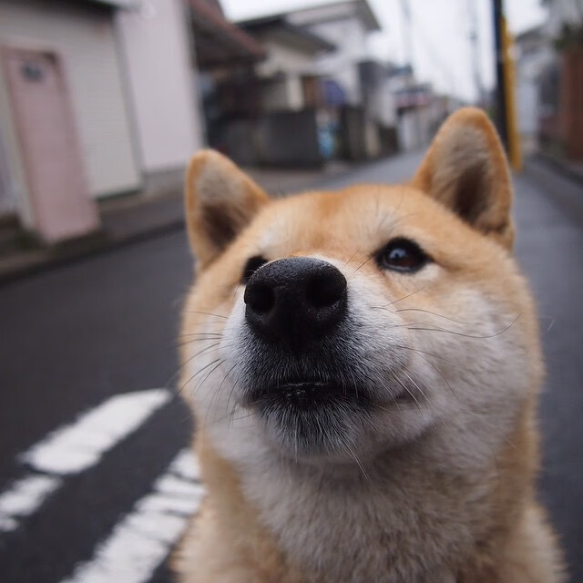 九游用户空间-_国际冲浪比赛：海浪中的极限对抗_，冲浪比赛规则介绍