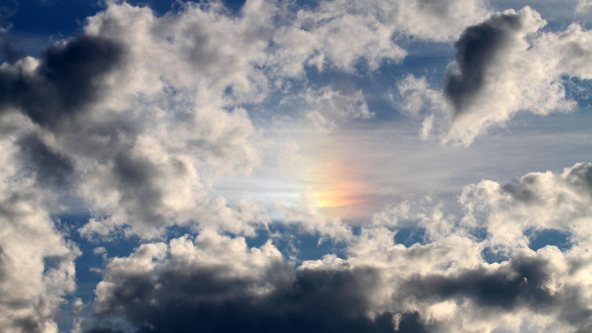 【球员采访】明星选手的赛季心路历程，明星选拔赛