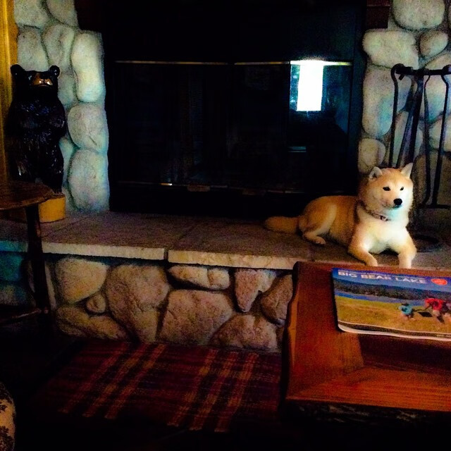 创意十足的球场设计引领行业新潮流，球场效果图