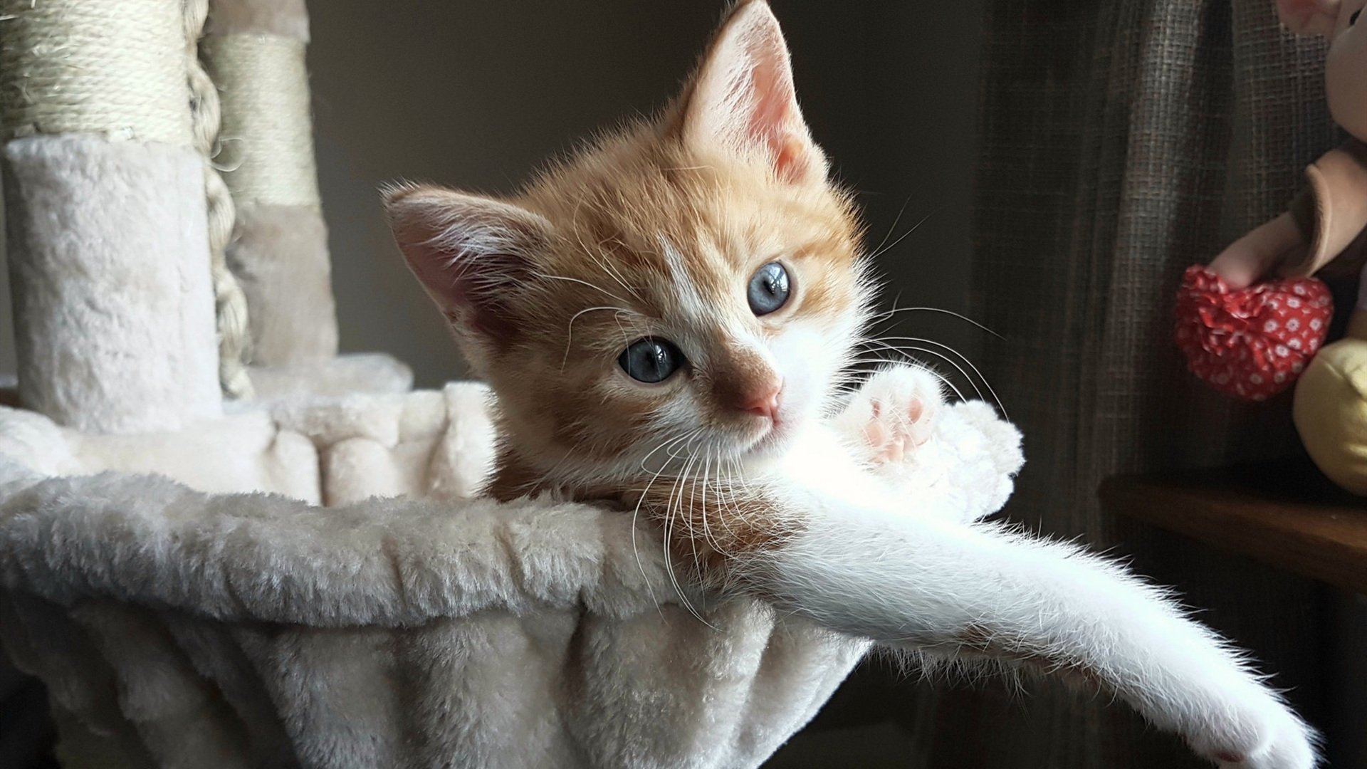 -法甲：巴黎逆袭里尔，争冠形势再次升级，巴黎vs里尔首发