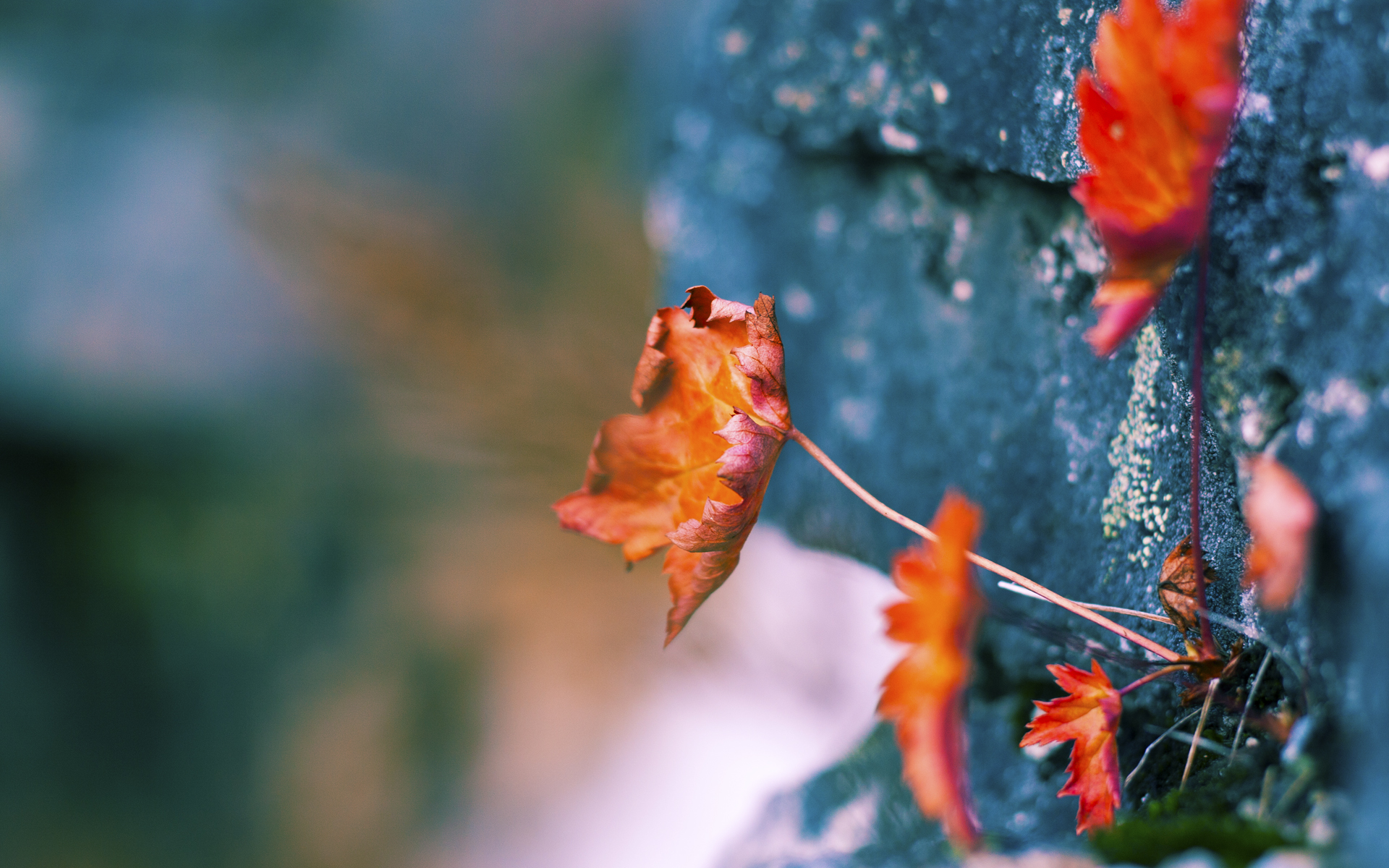 篮球训练视频教学内容不断丰富升级，篮球训练视频教学视频