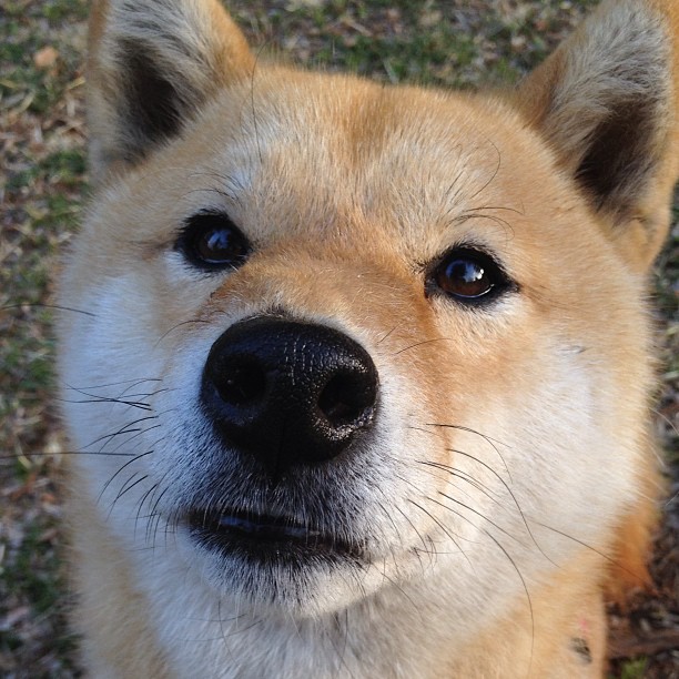 系列比赛：切磋交流推动联盟发展，关于切磋交流进步句子