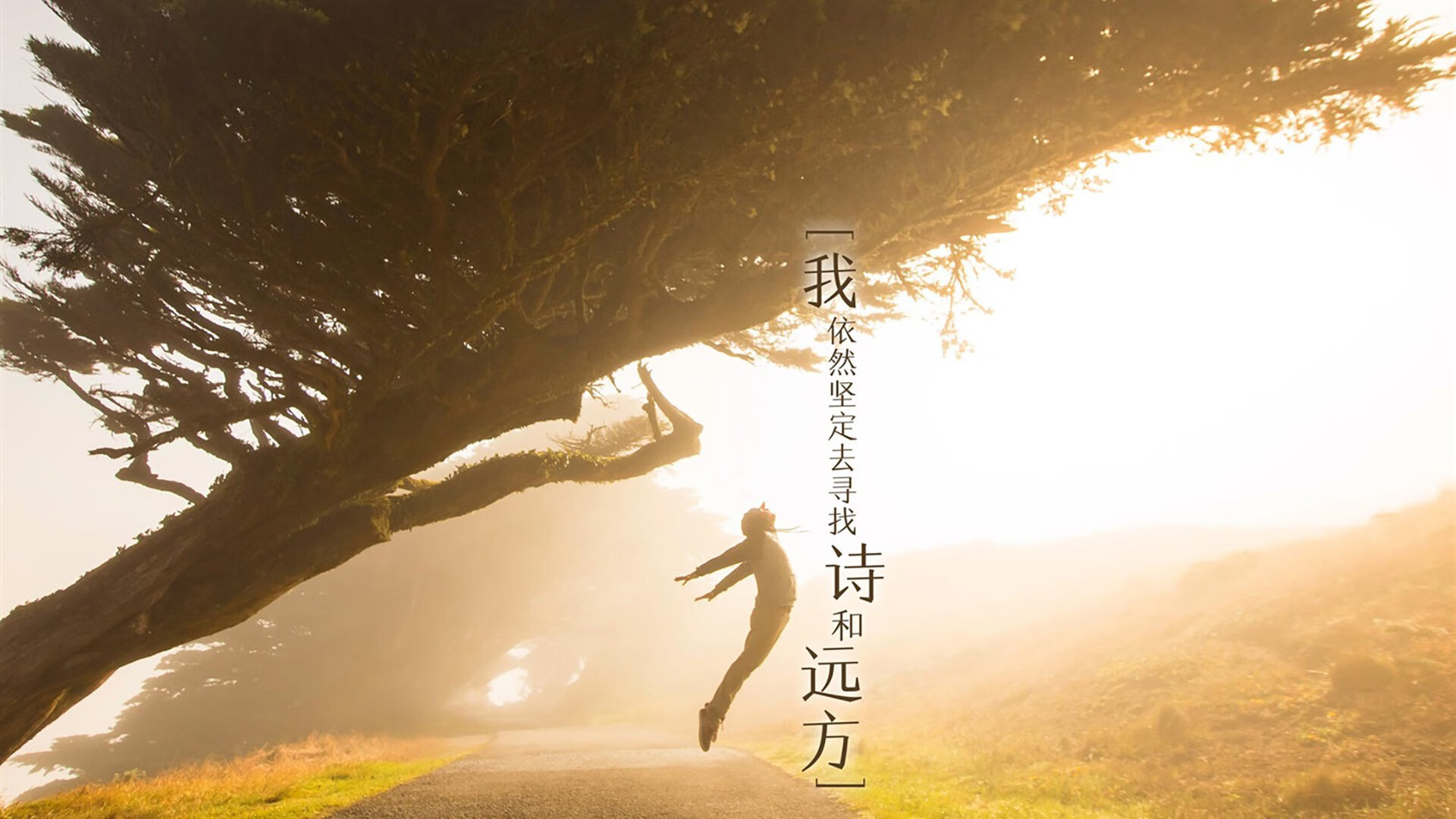 美国马术协会设立马匹福利基金，支持马匹退休生活。，美国马术协会polo