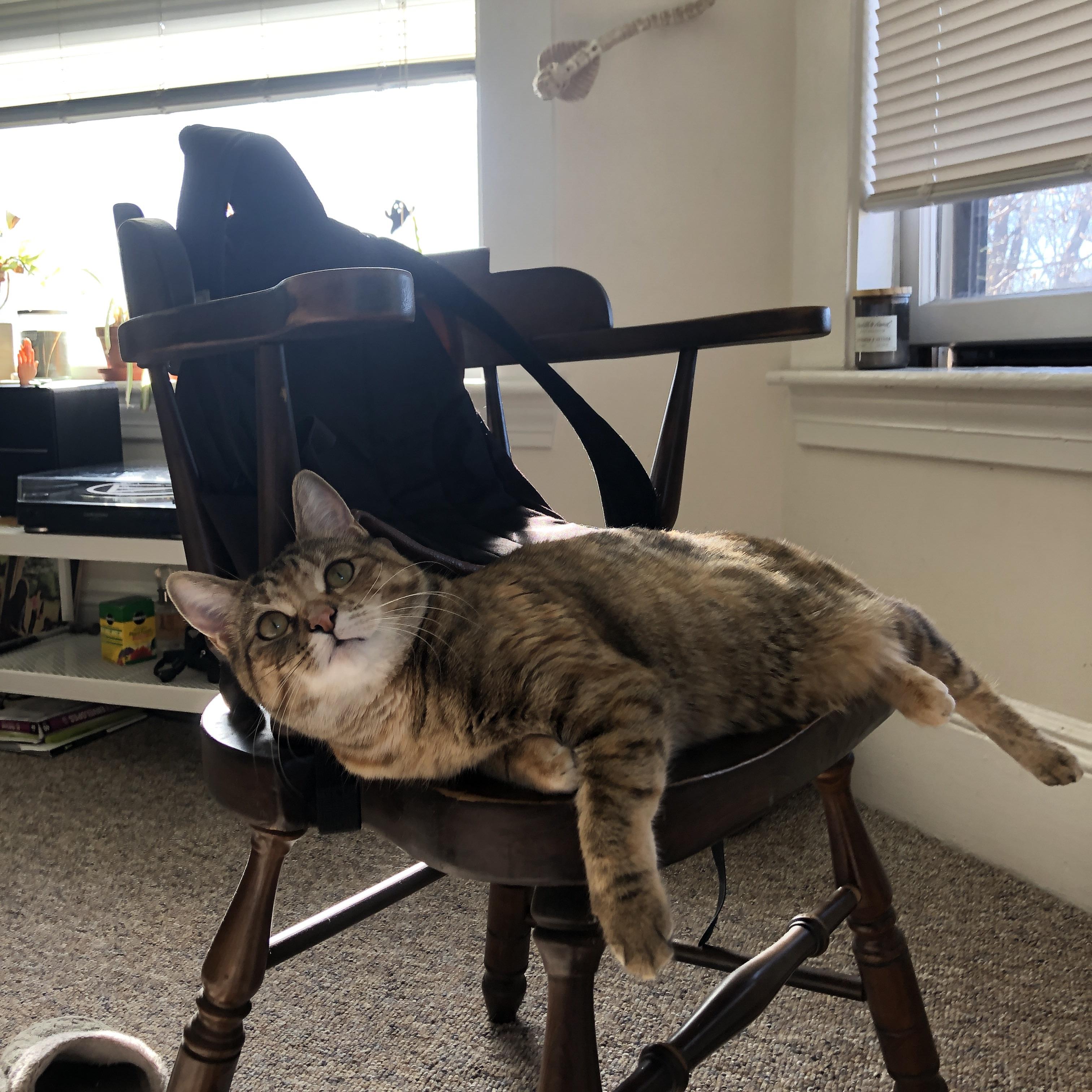 赛事解说团队：专业解读每个精彩局面，赛事解说话术