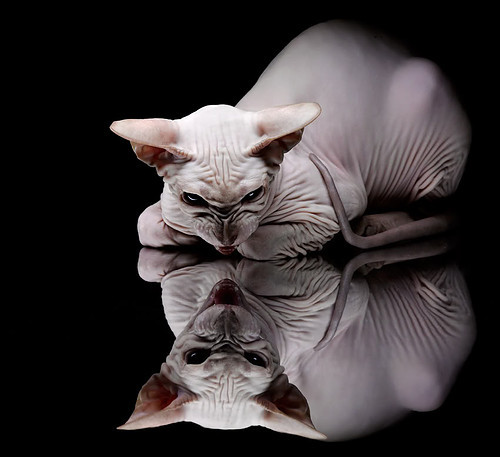 赛场公益主题日：传递正能量，正能量公益活动名字大全