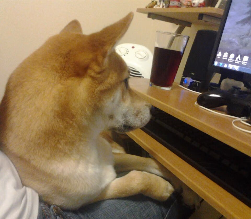 青少年极限运动杂技表演，青春飞扬不容错过，杂技学生