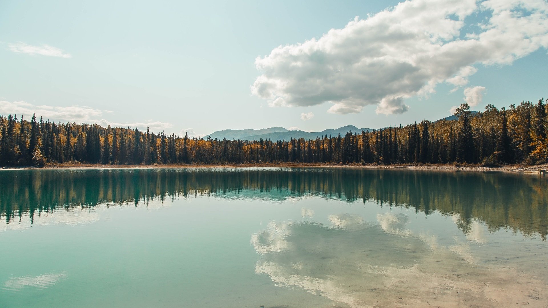青少年足球运动融入多元文化，助推体育多样性发展，开展青少年足球运动的意义