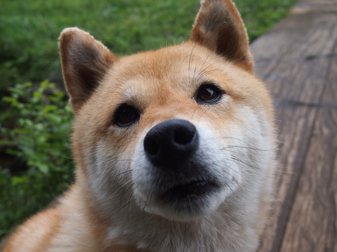 Magisk 表示是时候在丹麦举办 Major 赛事了