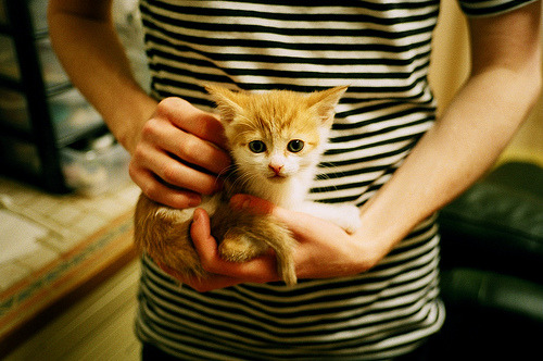 九游娱乐(jiuyou)官网-兰斯客场失利，三连败将风险加大，兰斯kuma