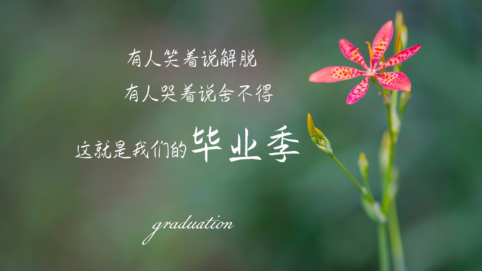 九游jiuyou-柏林柏林联队客场告捷，取得连胜势头，柏林联合战绩