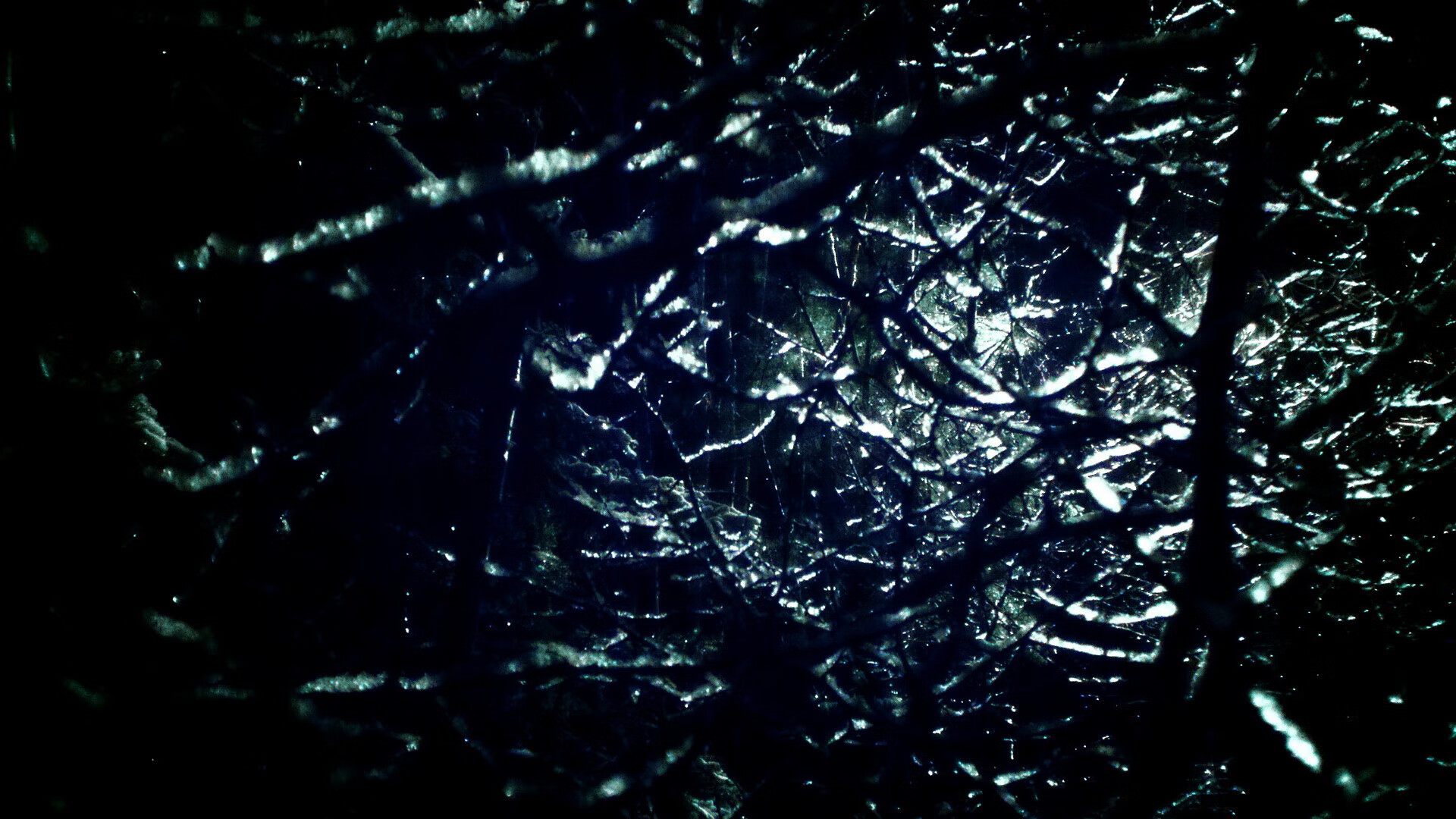 河北精英队客场逆转辽宁沈阳城市建设