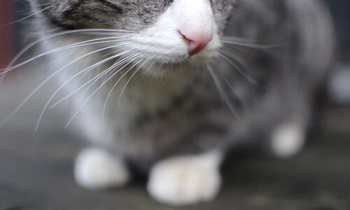 九游app官网下载-电竞电竞赛事策划全流程管理及多部门协作机制探索，电竞赛事策划是什么意思