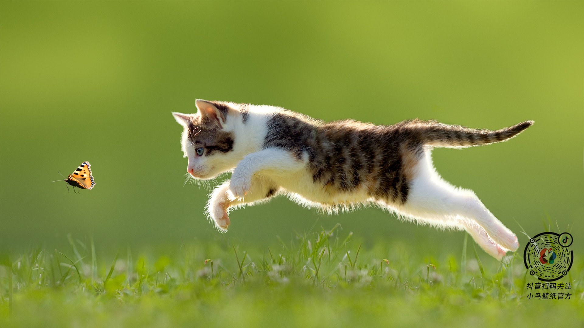 腾讯电竞生态再扩张，腾讯电竞产业园布局