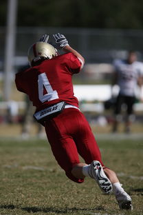 -NBA球队防守战术演变分析，nba球队防守效率排行榜