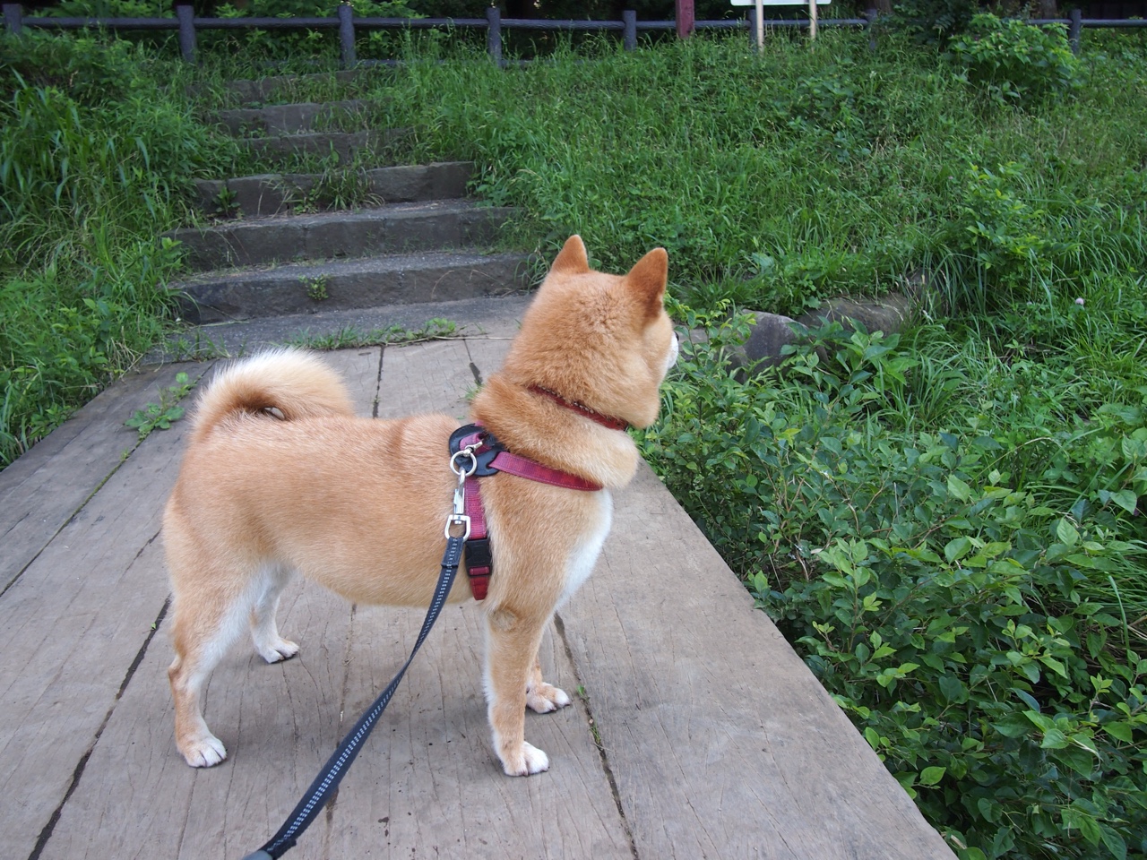 九游(jiuyou)官方网站-体育赛事媒体传播效果评估，体育赛事媒体宣传方案