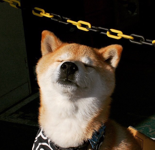 篮球运动员心理健康维护及心理干预技术创新研究，篮球心理素质训练