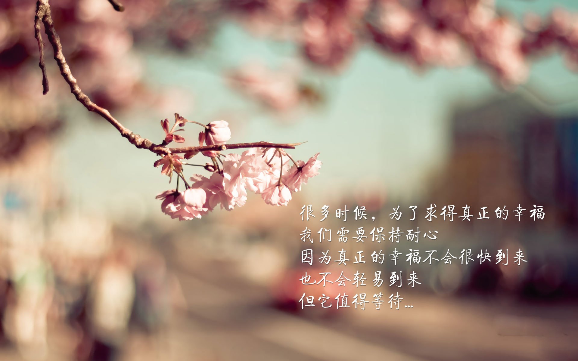 奥预赛中国青年队出战 球员成长受到关注，青奥会中国