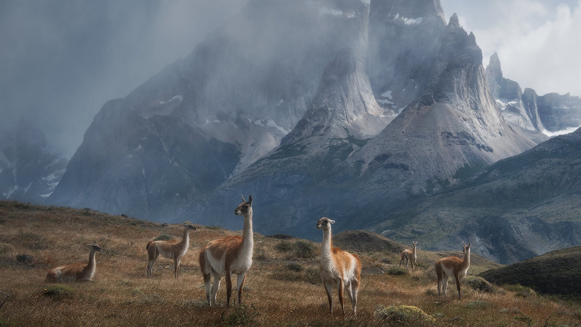 九游网-搏击台上新秀崭露头角实力强劲，搏击glory
