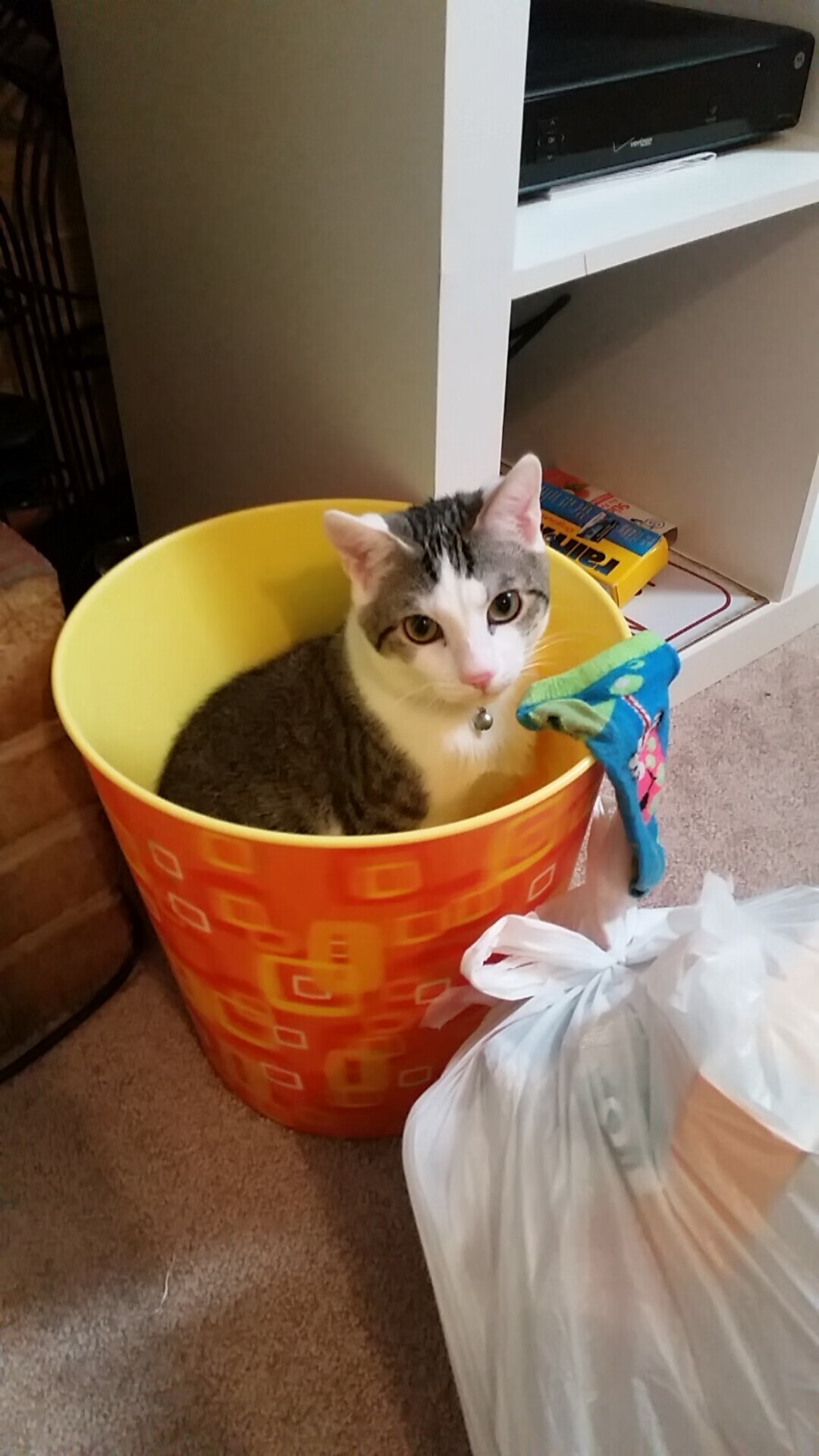 校园足球联赛发展势头良好，校园足球发展现状分析