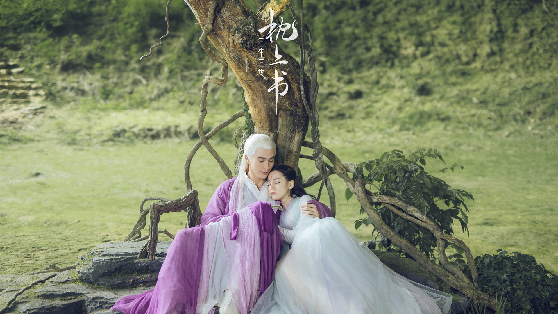 体育文化节活动预告，体育文化节活动流程