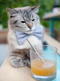 国家队训练基地向全国青年开放媒体参观通道,国家体育总局国家队训练基地